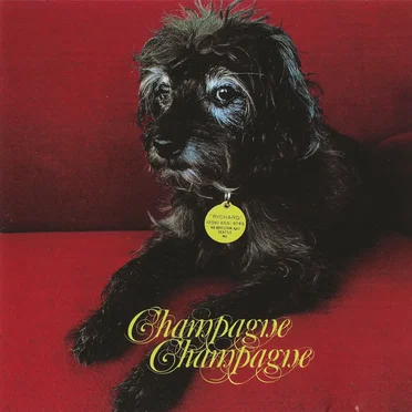 Champagne Champagne