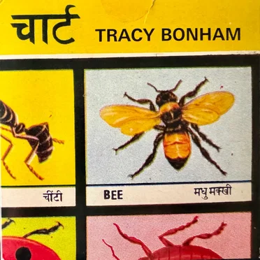 Bee