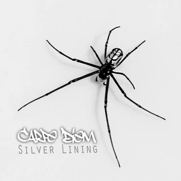 Silver Lining Vol. 1 by Carpe Diem - album cover