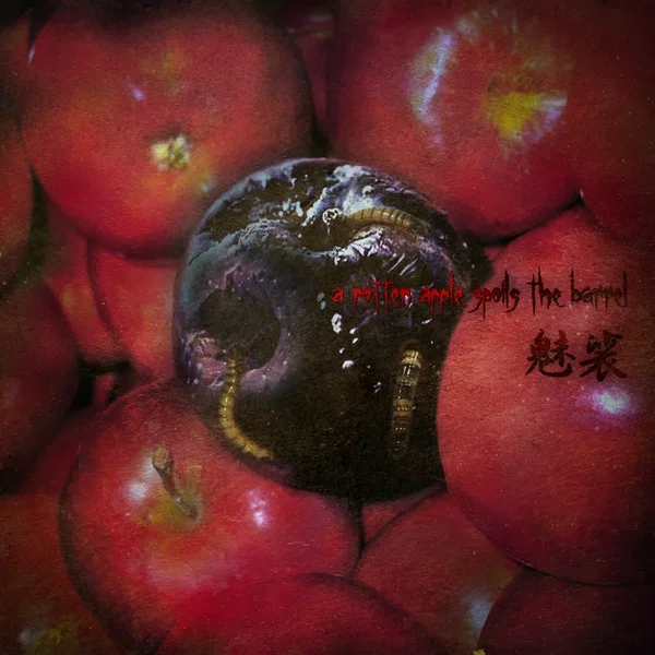 a rotten apple spoils the barrel