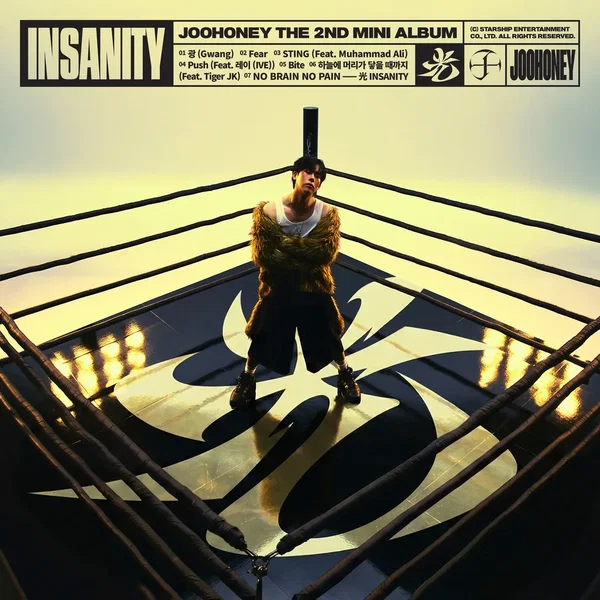 光 (INSANITY)