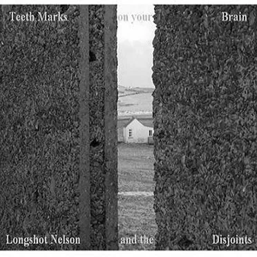 Teeth Marks On Your Brain by Longshot Nelson and the Disjoints - album cover