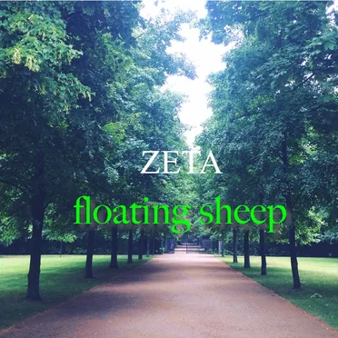 floating sheep
