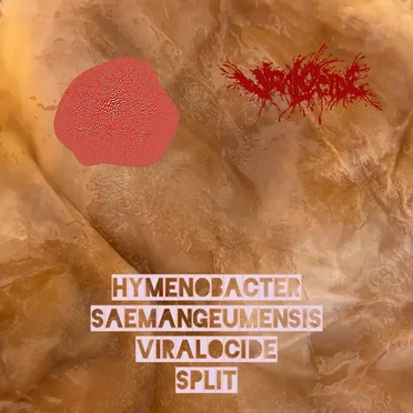 Hymenobacter Saemangeumensis / Viralocide Split