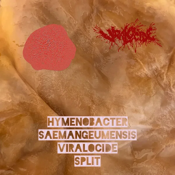 Hymenobacter Saemangeumensis / Viralocide Split