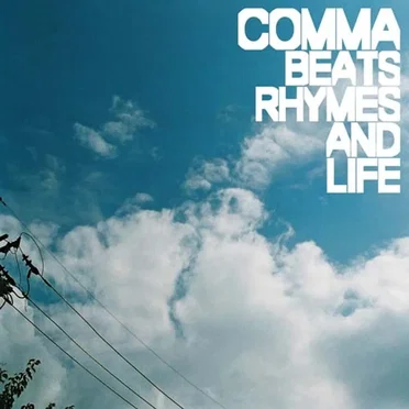 Beats Rhymes And Life by 콤마 - album cover