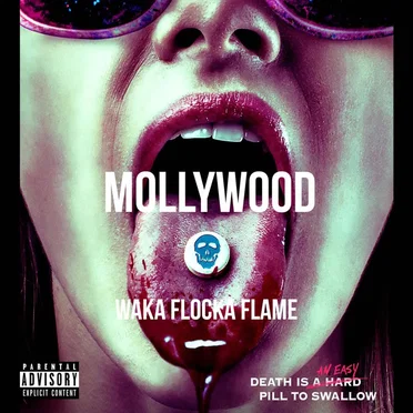 Mollywood by Waka Flocka Flame - album cover