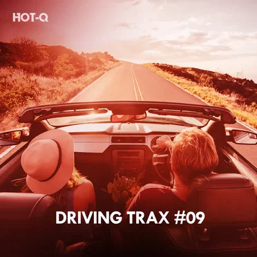 Driving Trax, Vol. 09 by Various Artists - album cover