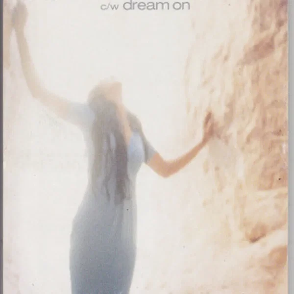 Anyone Can Dream