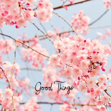 Good Things