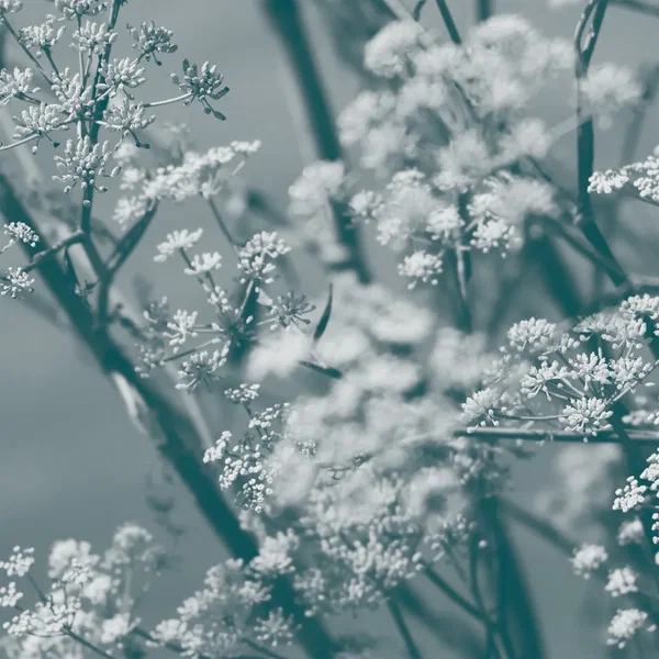 Journey to the Cave of Guanyin