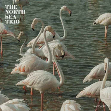 The North Sea Trio