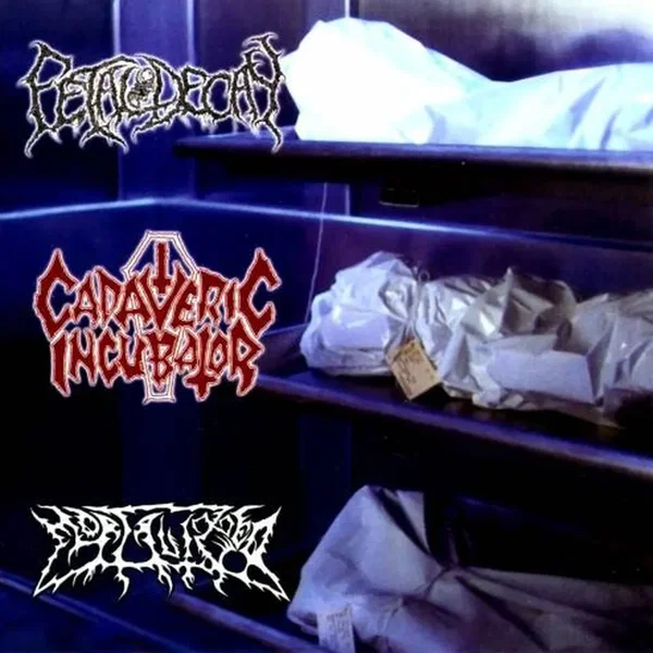 Fetal Decay / Cadaveric Incubator / Mortalized