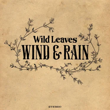 Wind & Rain