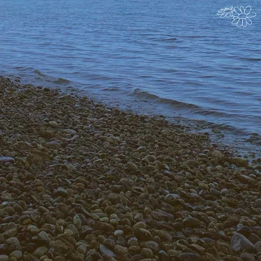Tides