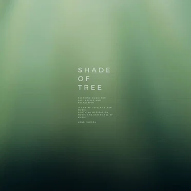 Shade of Tree