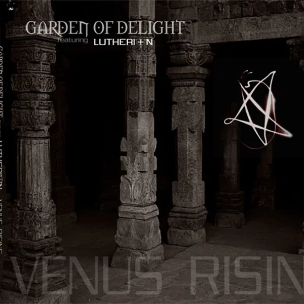 Venus Rising