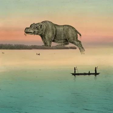 Flake of Nile