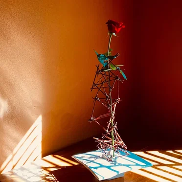 Object of Your Love