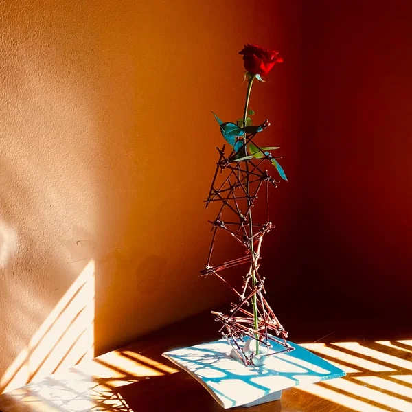 Object of Your Love