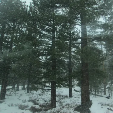 South Lake Tahoe, CA (12/12/2021)