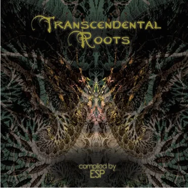 Transcendental Roots by Various Artists - album cover