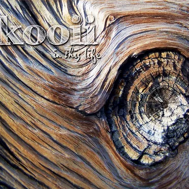 Kooii