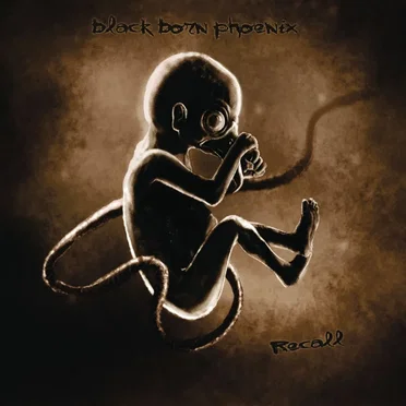 Recall by Black Born Phoenix - album cover