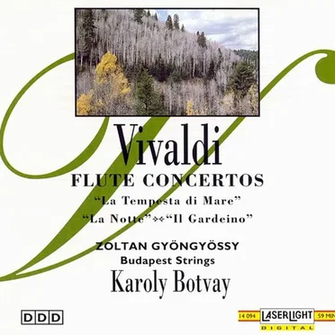 Flute Concertos