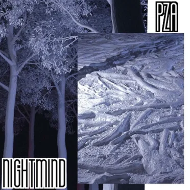 NIGHTMIND