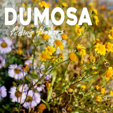 Fading Flowers by Dumosa - album cover