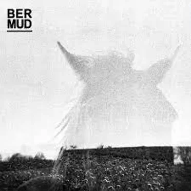 Chetter Humin by Bermud - album cover