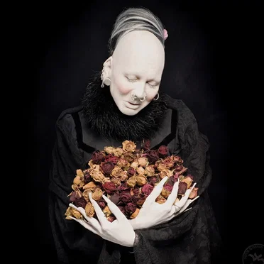In der Palästra by Sopor Aeternus & The Ensemble of Shadows - album cover