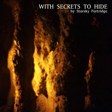 With Secrets to Hide by Starsky Partridge - album cover