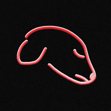 Hachiko by tuv - album cover