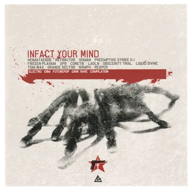 Infact Your Mind by Various Artists - album cover