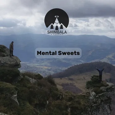 Mental Sweets LP by Derrick FunkMasters - album cover