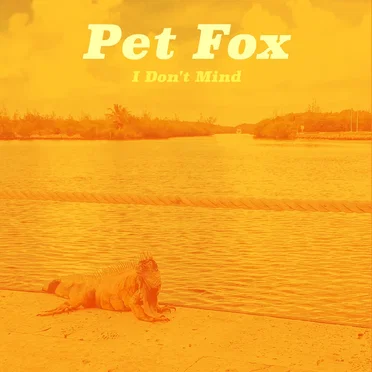 I Don't Mind