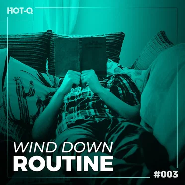 Wind Down Routine 003 by Various Artists - album cover