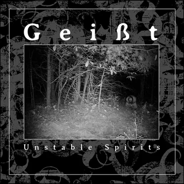 Unstable Spirits by Geisst - album cover