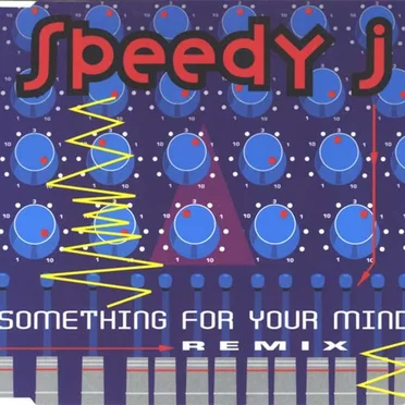 Something for Your Mind (The Remixes)