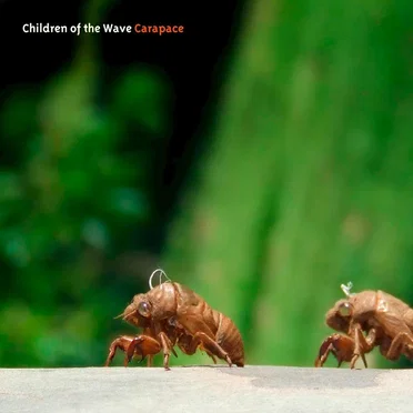 Carapace by Children of the Wave - album cover