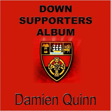 DOWN Supporters by Damien Quinn - album cover