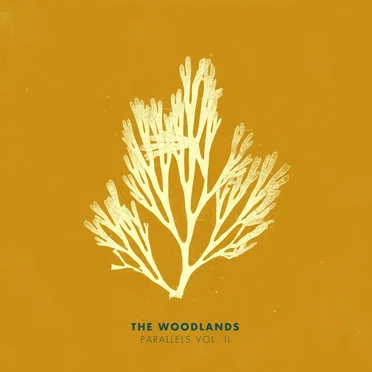 Parallels Vol. II by The Woodlands - album cover