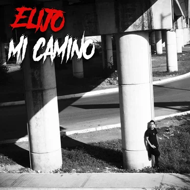 Elijo mi camino by Roberto Mendoza - album cover