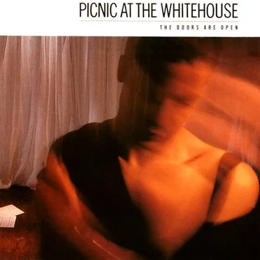 The Doors Are Open by Picnic at the Whitehouse - album cover