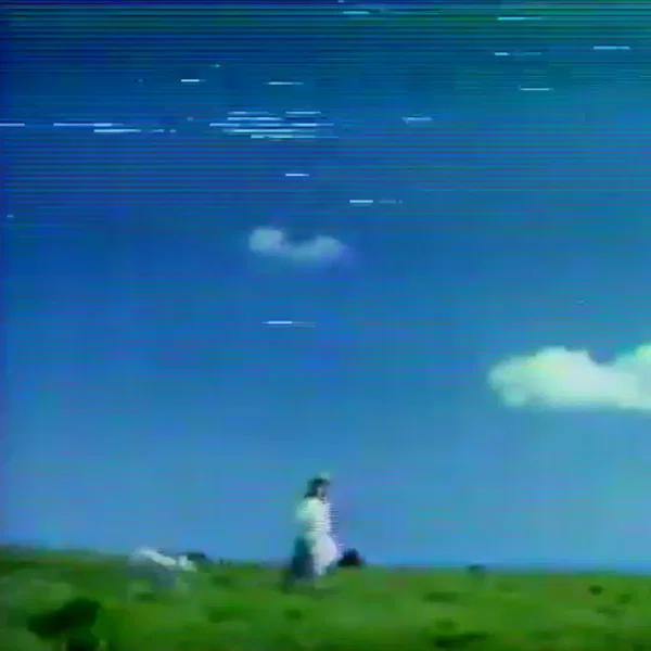 懐かしい視線