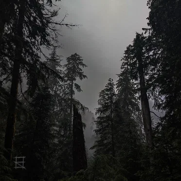 Dark Tymes by Harsh R - album cover