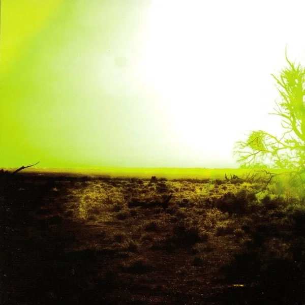 Strings of Consciousness & Angel