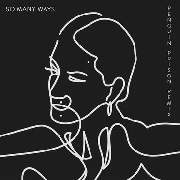 So Many Ways (Penguin Prison remix)